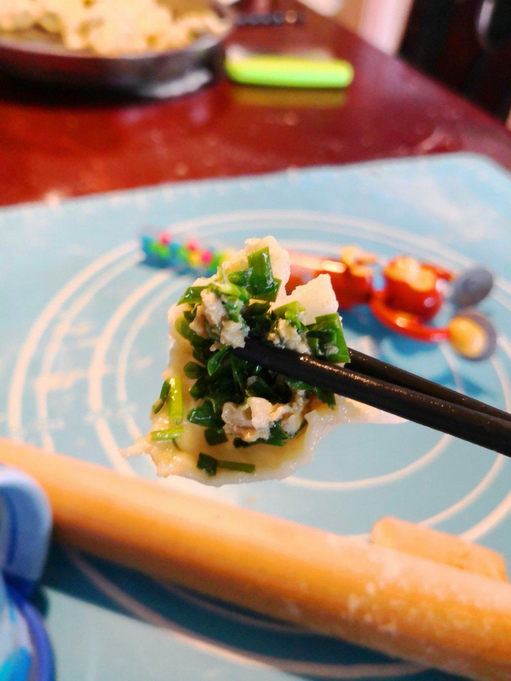 韭菜鲜肉馅饺子