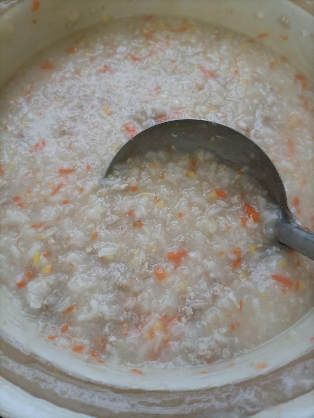 大宝宝小宝宝都爱吃的胡萝卜🥕牛肉粥