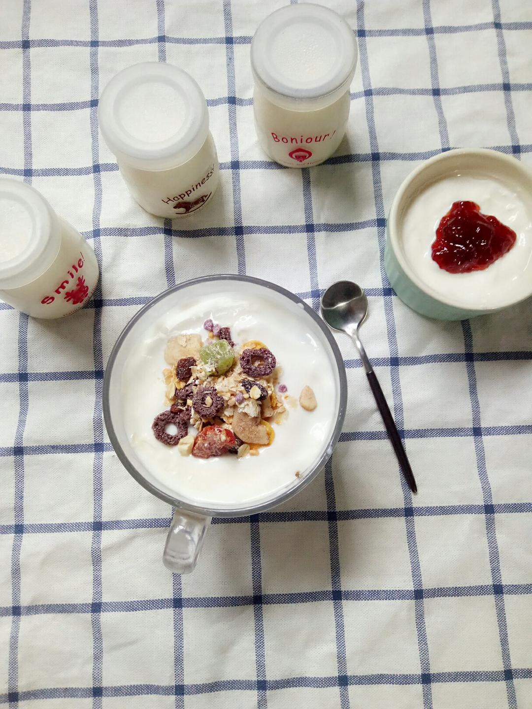 自制凝固型酸奶