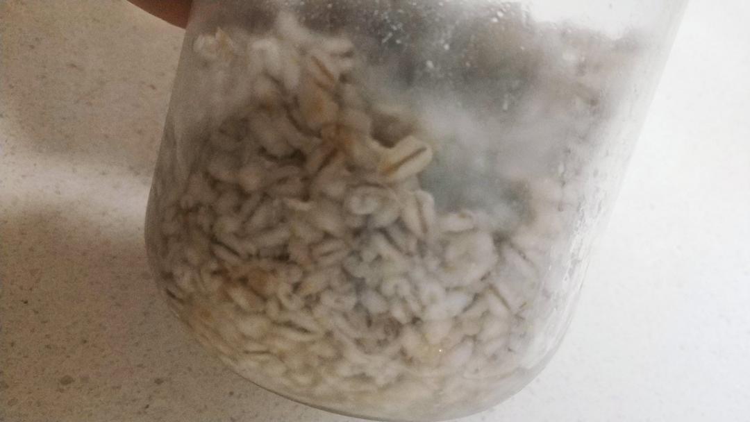 6分钟米酒【杂粮醪糟日志】🐌糙米酒糟 醪糟 酒酿