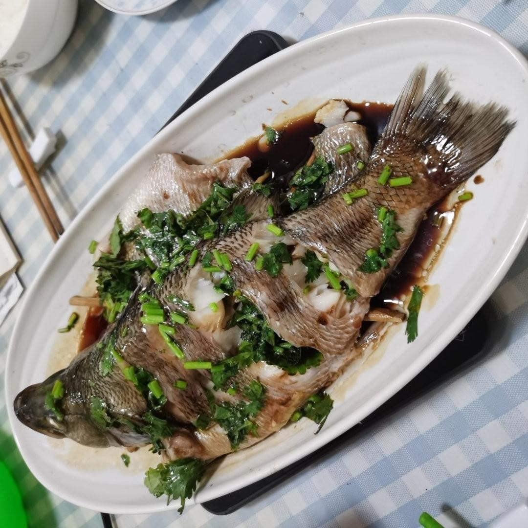 10分钟做 清蒸鲈鱼 （附切鱼图解）