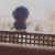 陈小C__