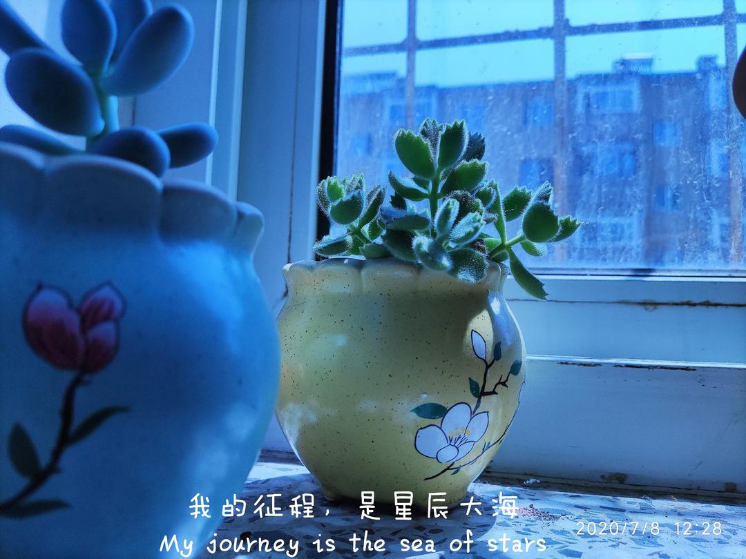 亮晶晶的厨柜