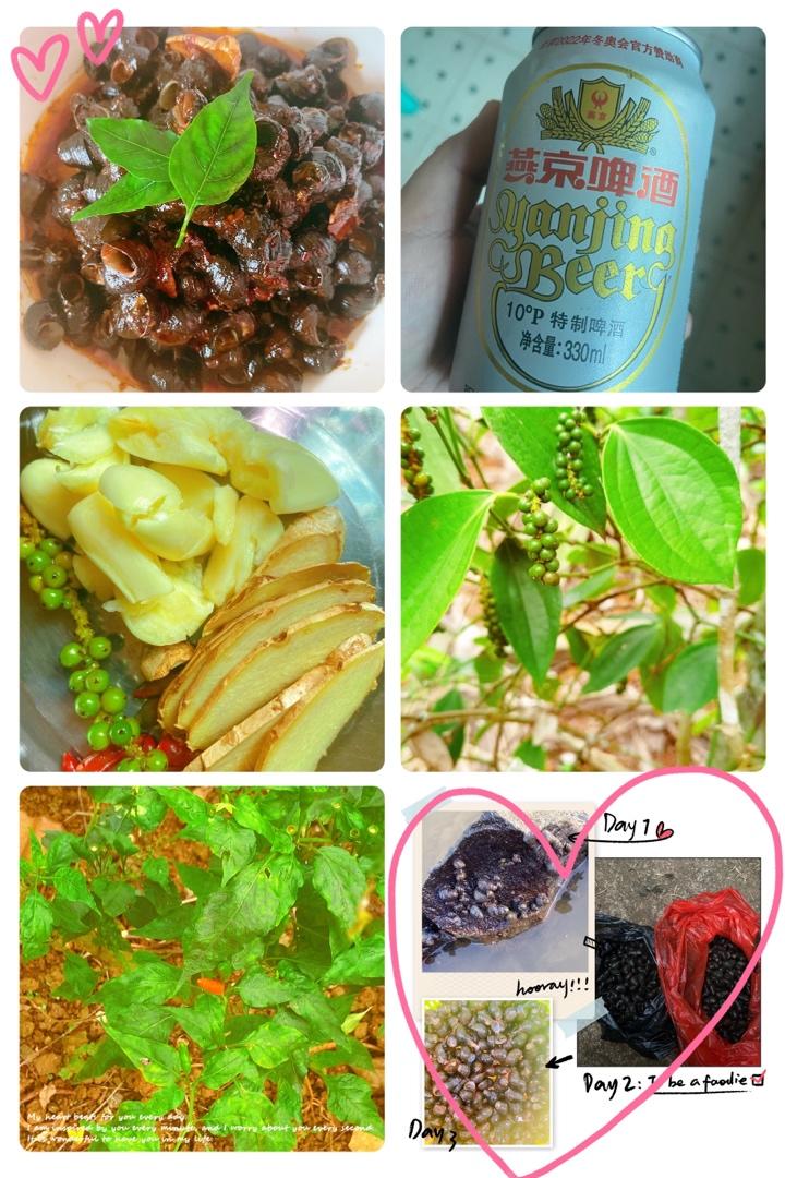 炒田螺（附清洗方法）