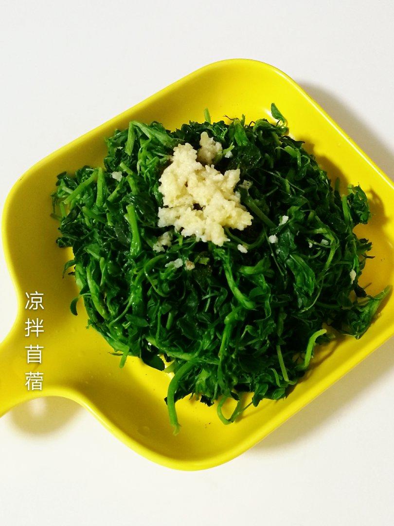 凉拌苜蓿