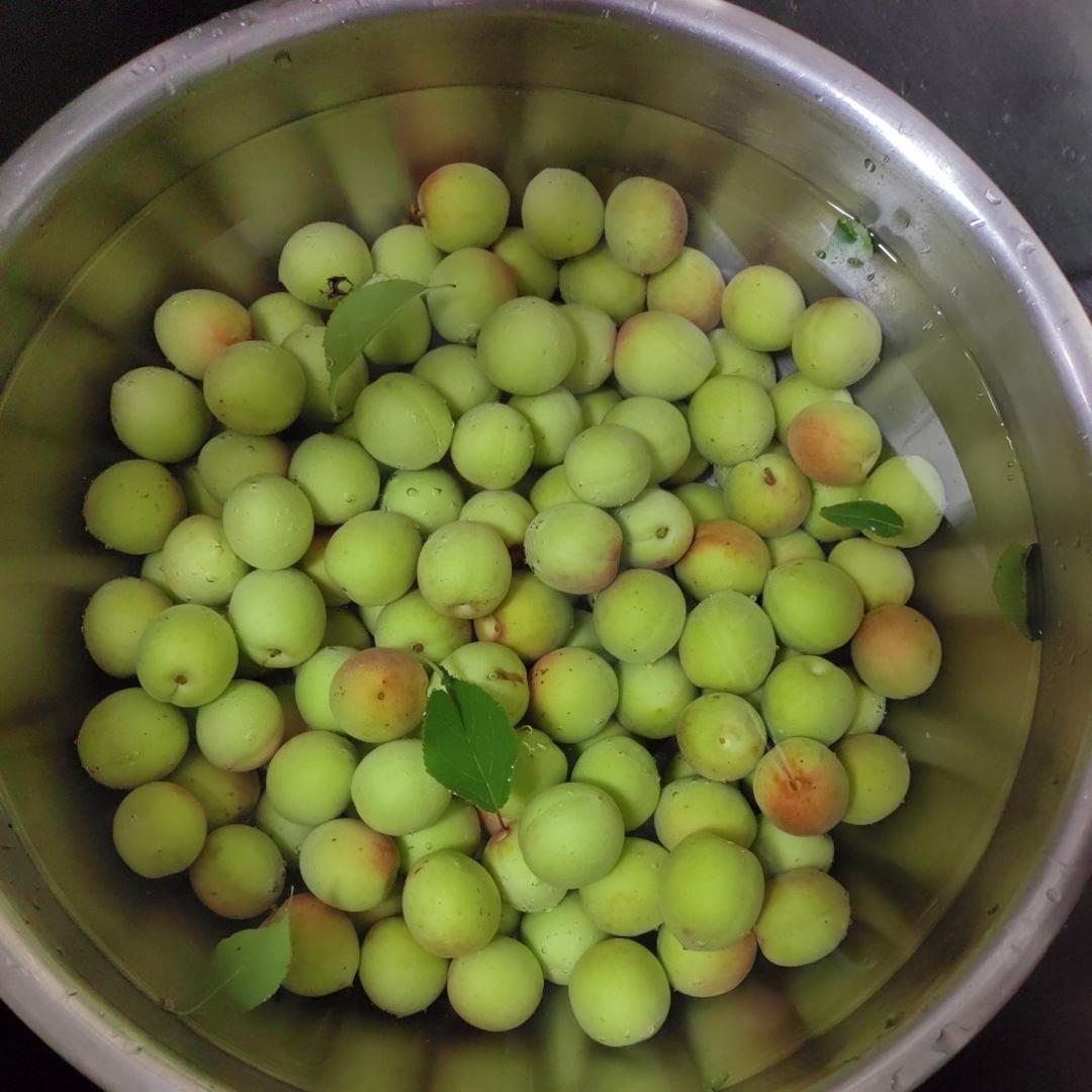 【青梅酒】梅子的沉醉时光（已填坑）