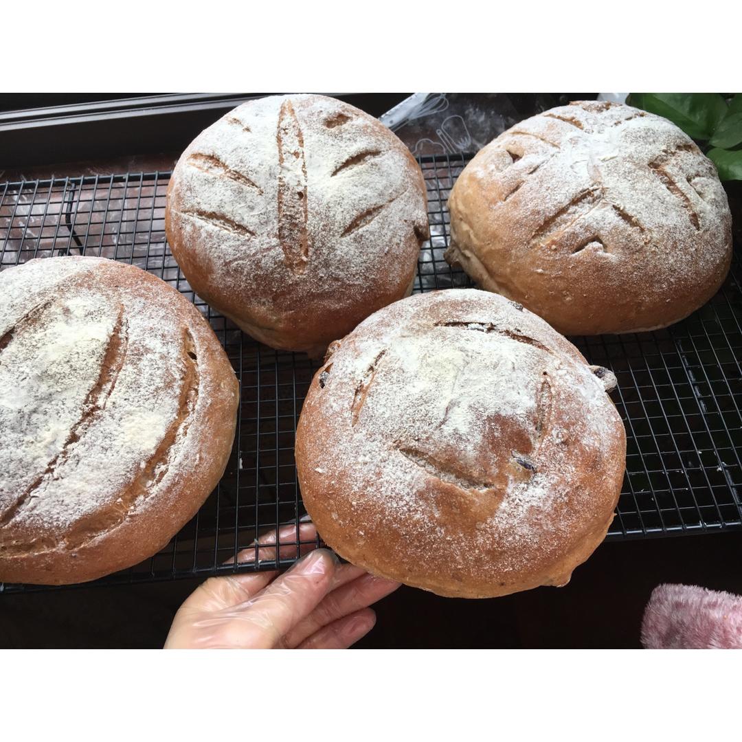 蔓越莓坚果软欧包