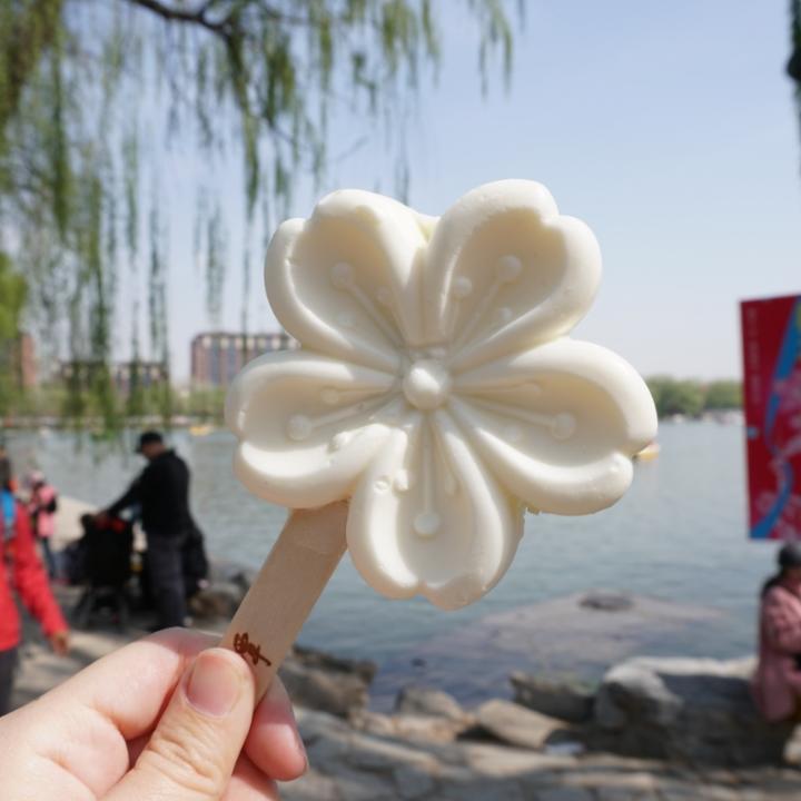 你好好我是小新