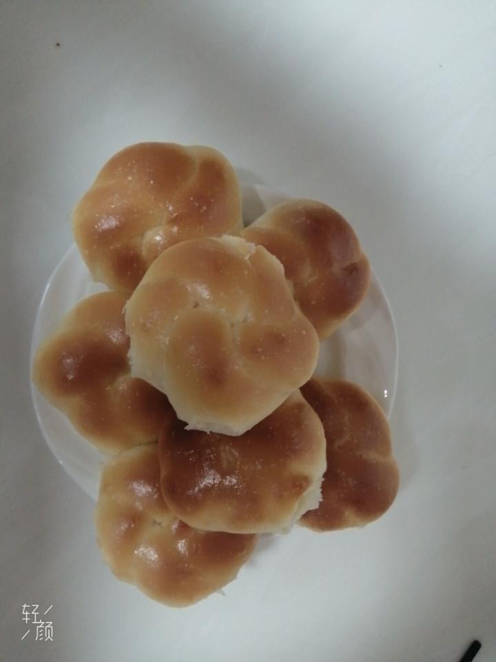 老面包 （普通面粉/中筋面粉+植物油/玉米油/黄油 各种规格版）