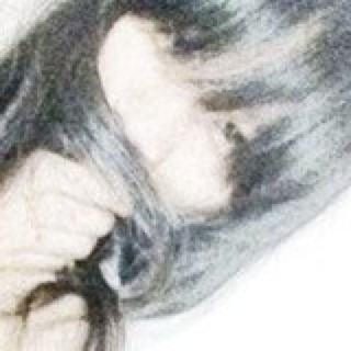 痘蔻年华的御宅鼠