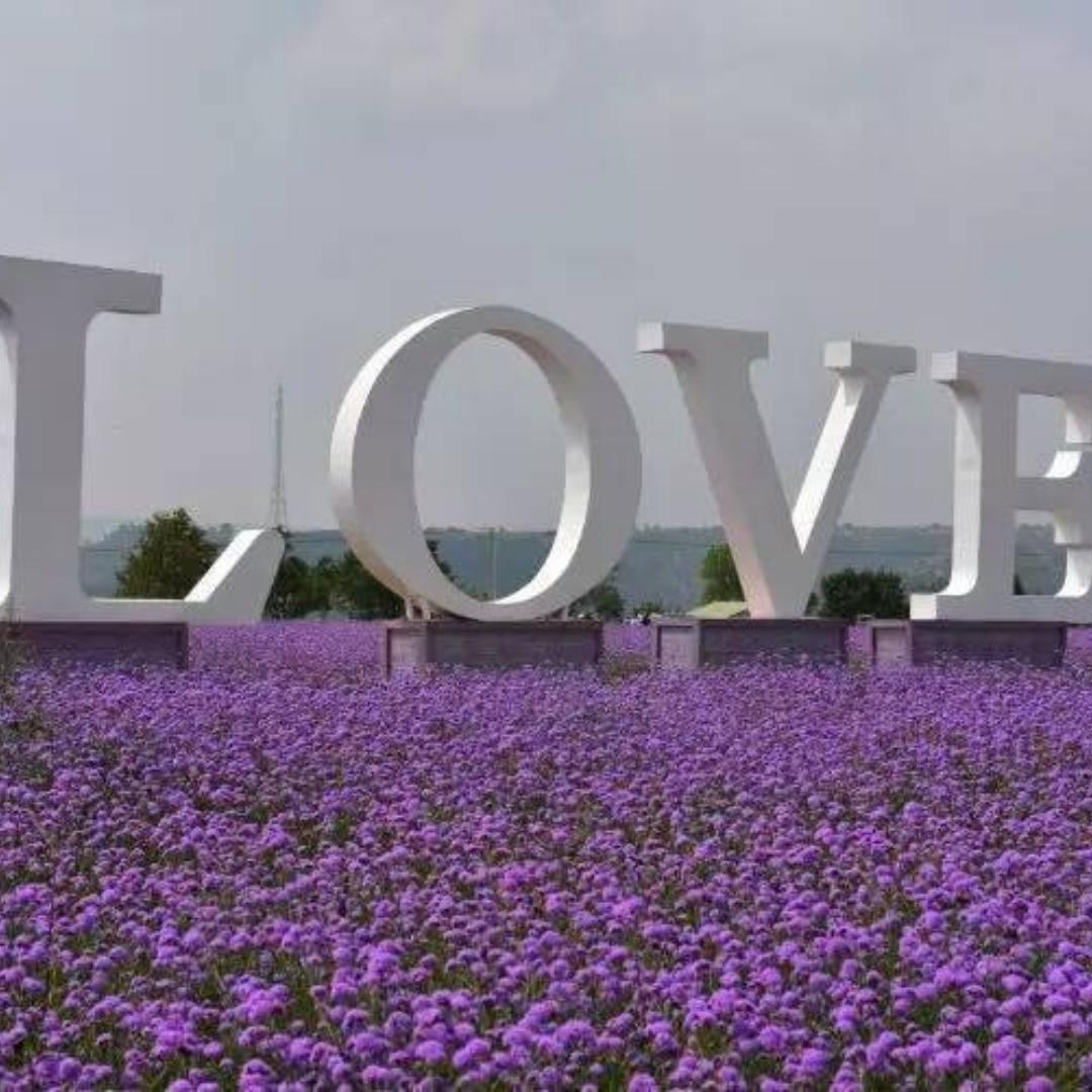 回到原来却回不到原点