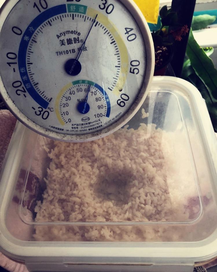 米酒，酒酿，醪糟