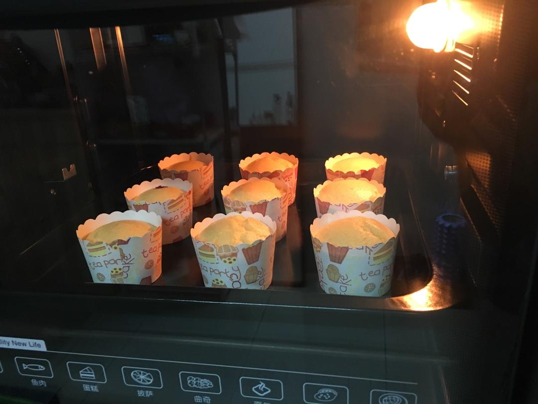 不会回缩的纸杯蛋糕--海氏烤箱定制