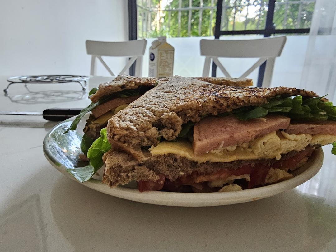 🥪三明治的神仙吃法 l好吃且简单、健康有营养