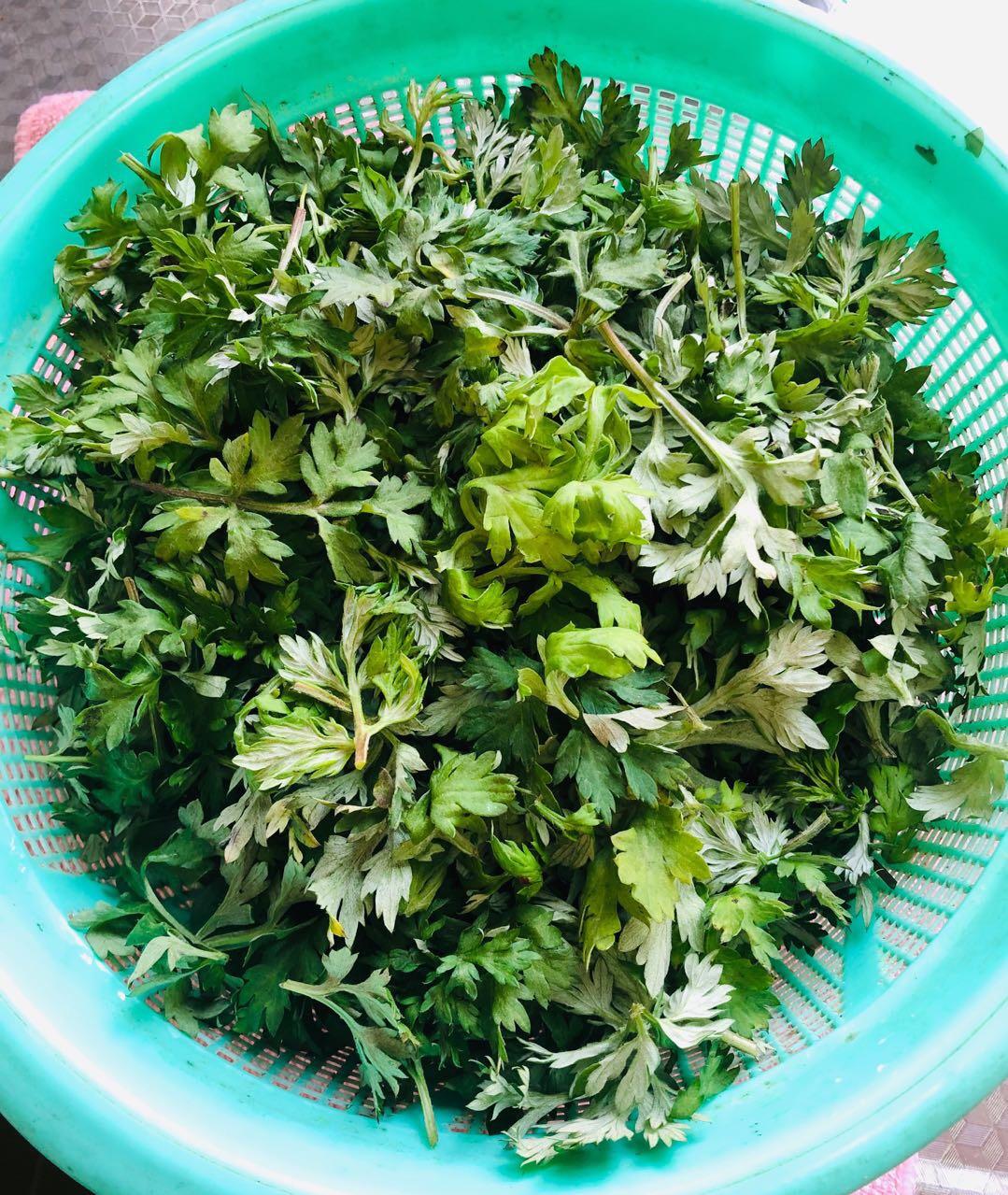 艾草青团