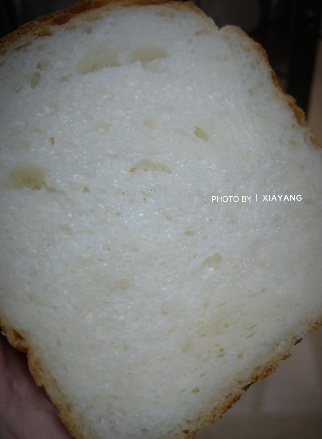 100%含水量豆腐生吐司