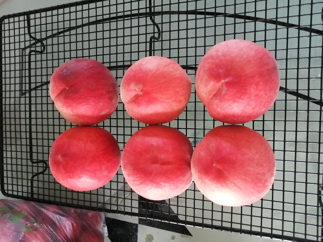 留住桃子的味道，自制桃子酒