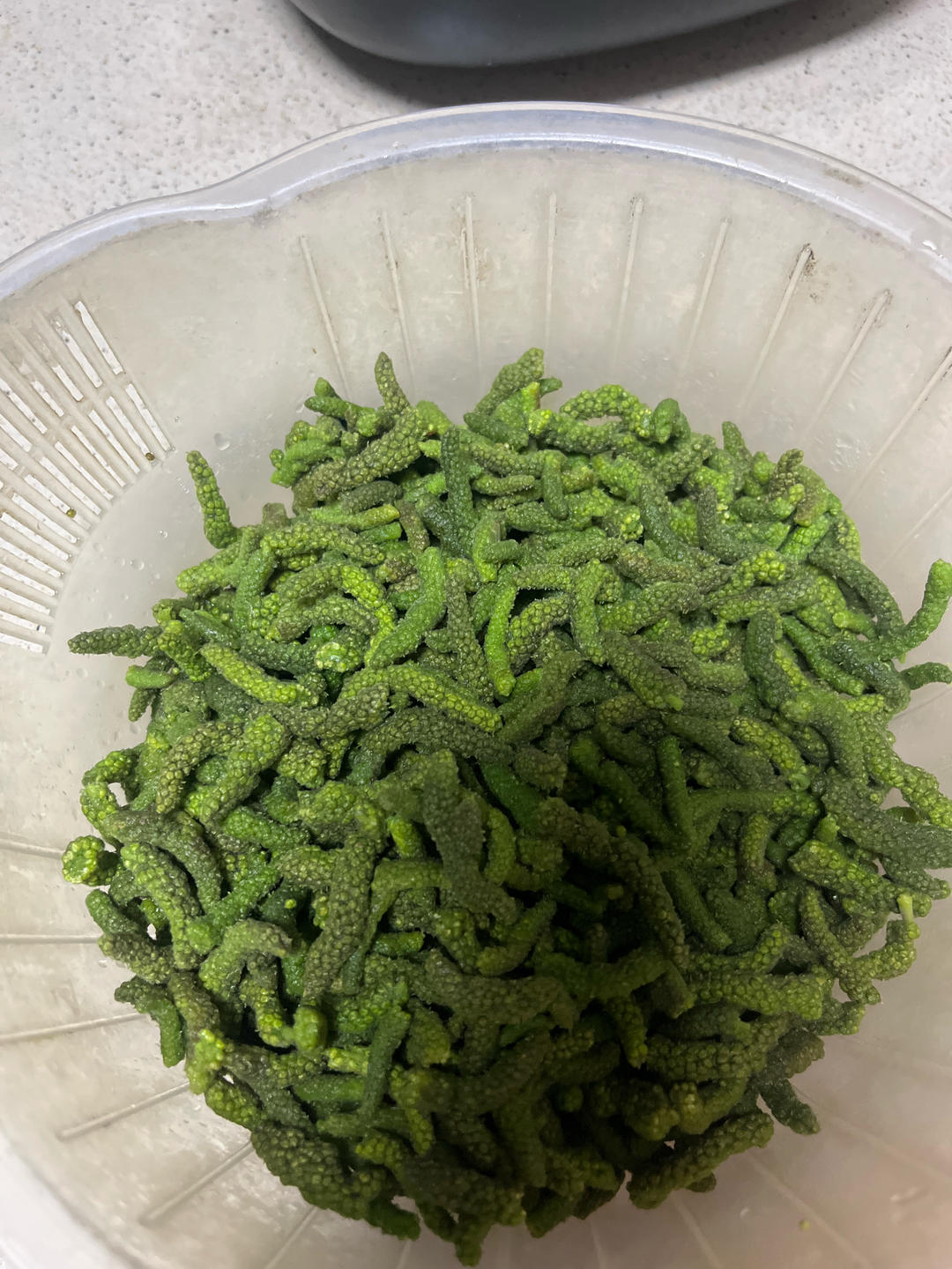 蒸皮树芽