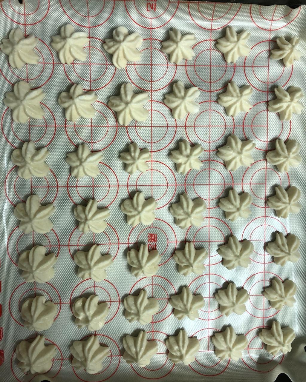蛋白溶豆