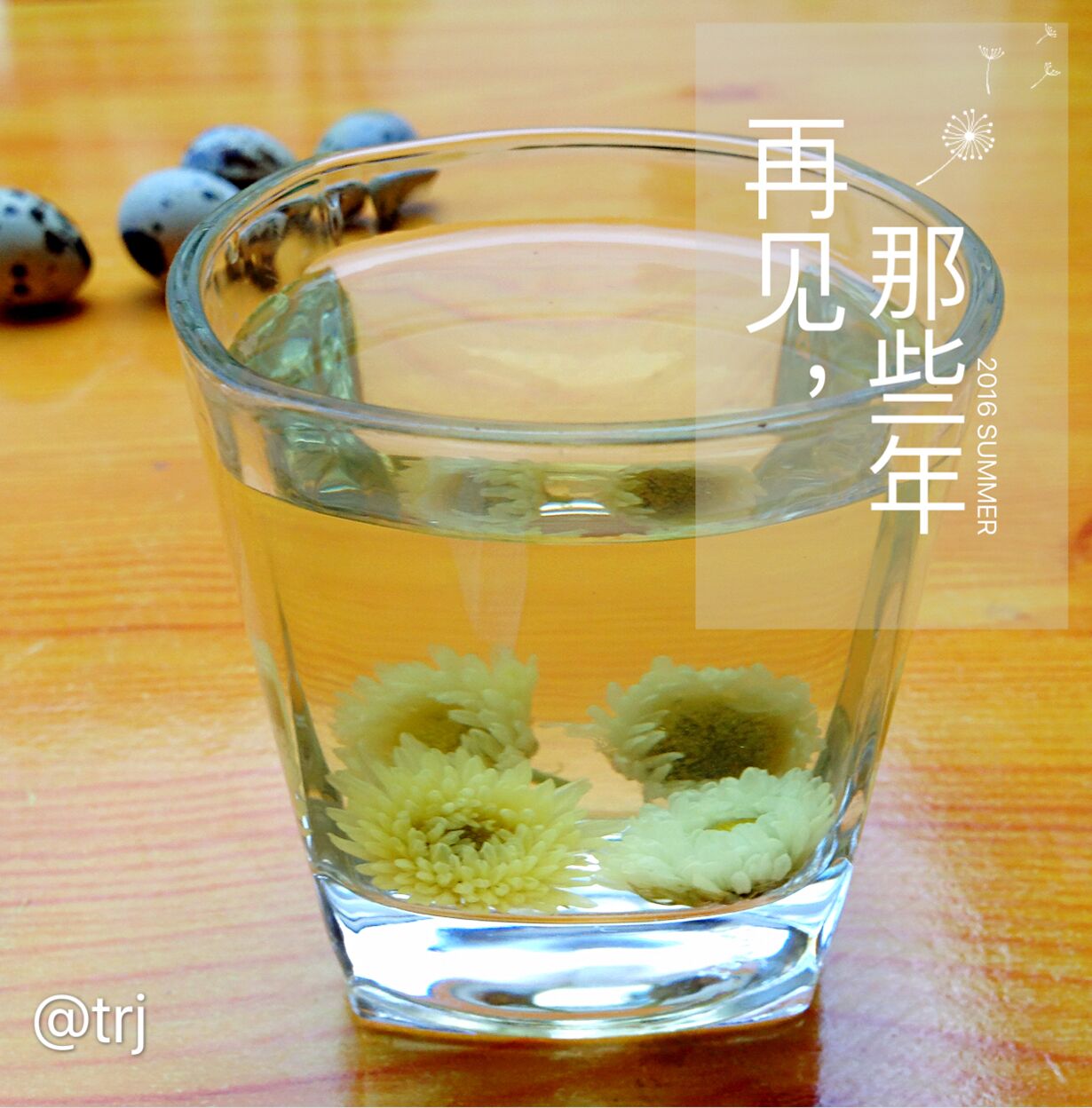 冰糖菊花茶