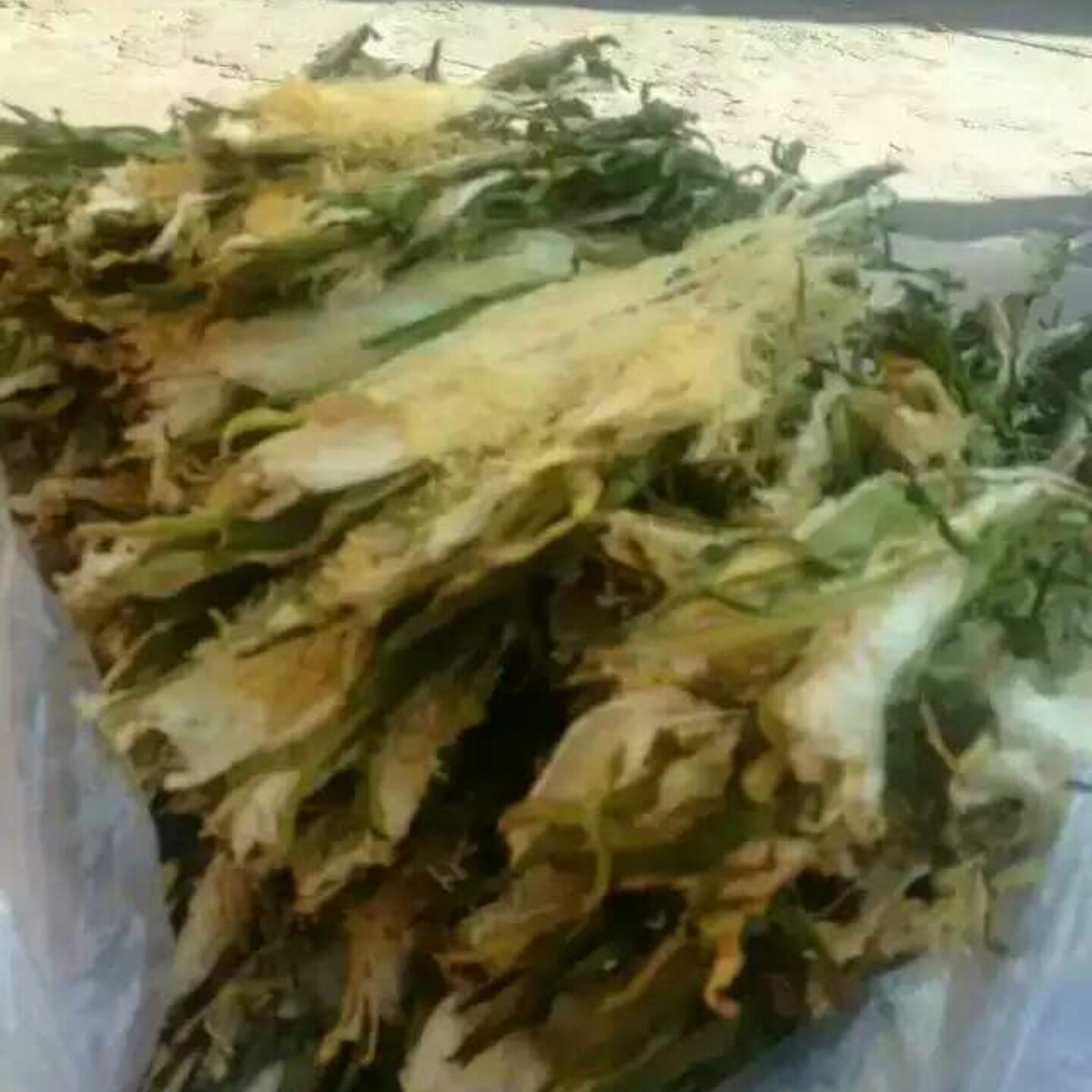 霸王花猪骨汤