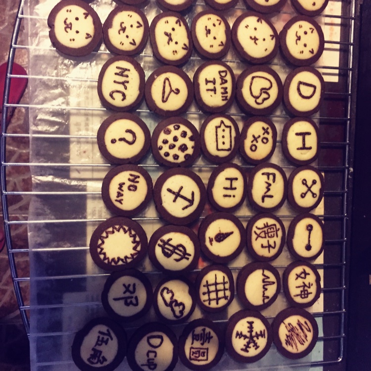 萌哭了的可可狮子饼干