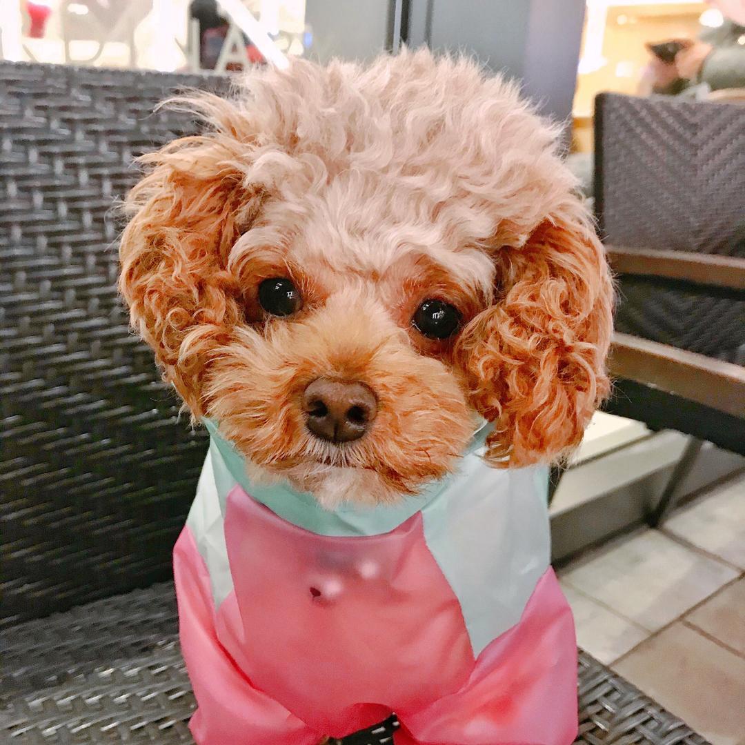 一块发酵的豆腐