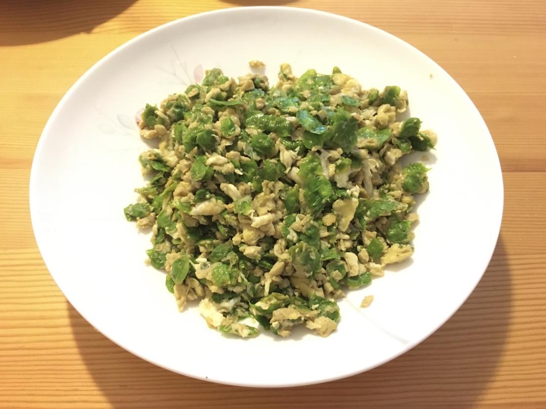 亦之喵做的榆钱炒鸡蛋榆钱摊鸡蛋