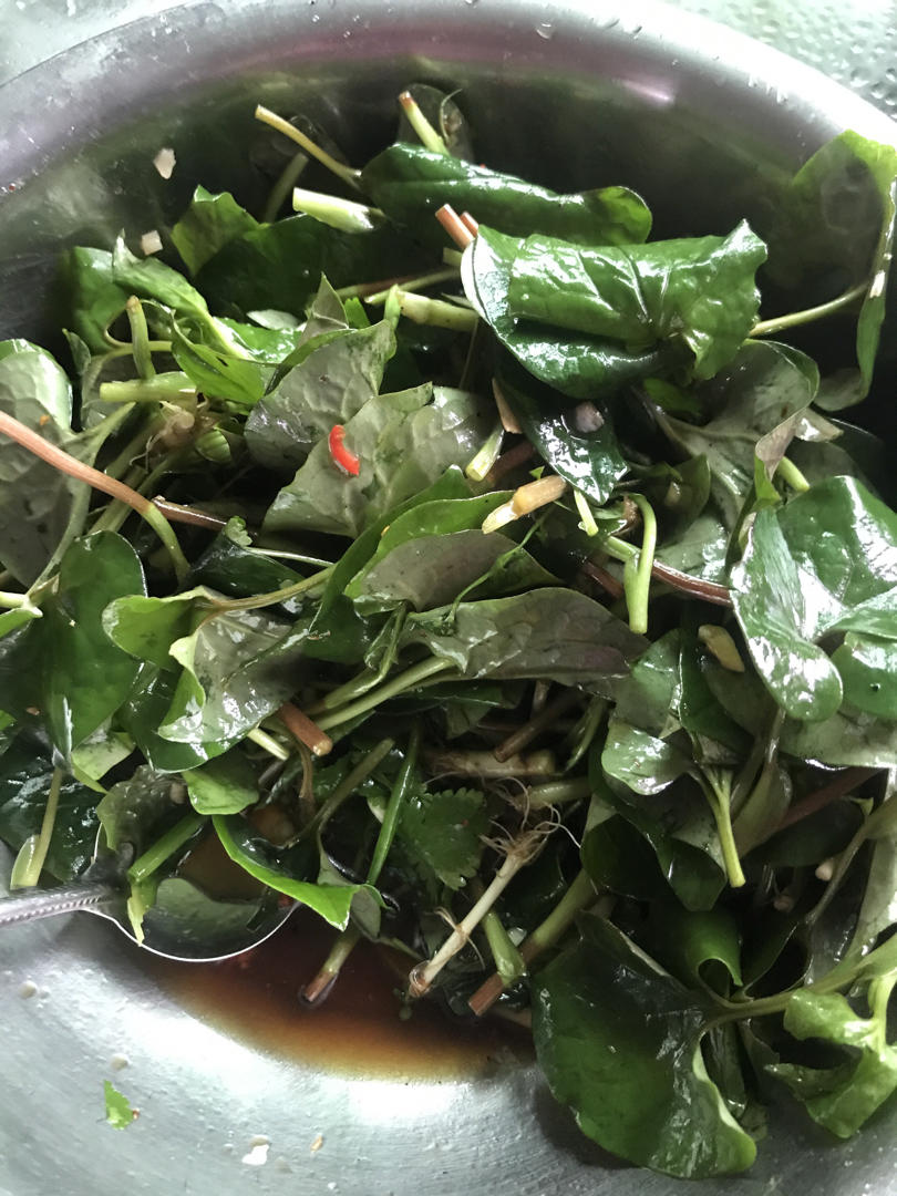凉拌折耳根（鱼腥草）