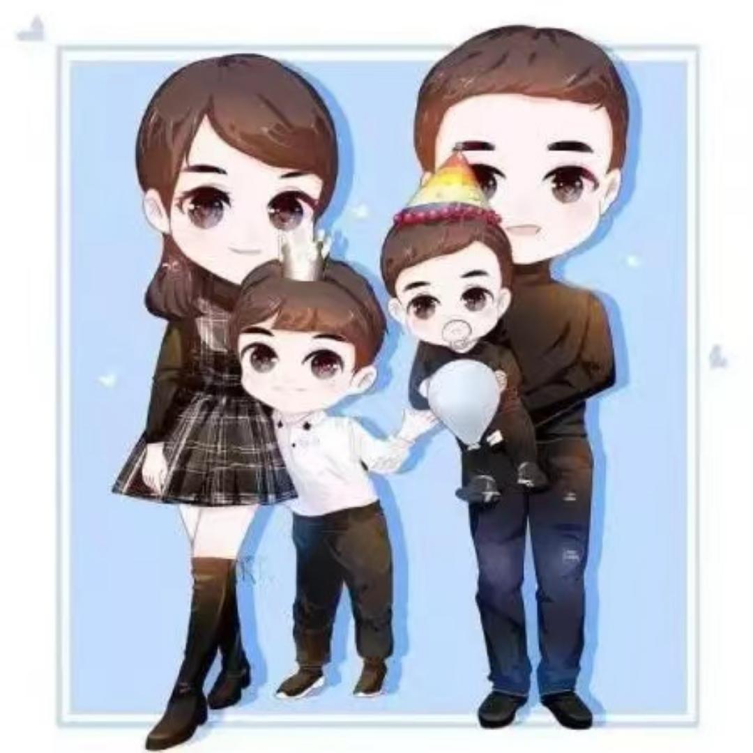 cd贵宾犬