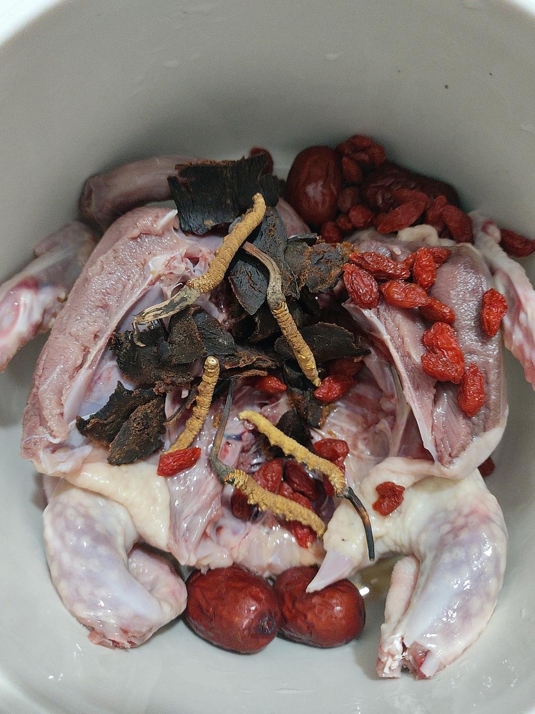 冬虫夏草炖鸽子