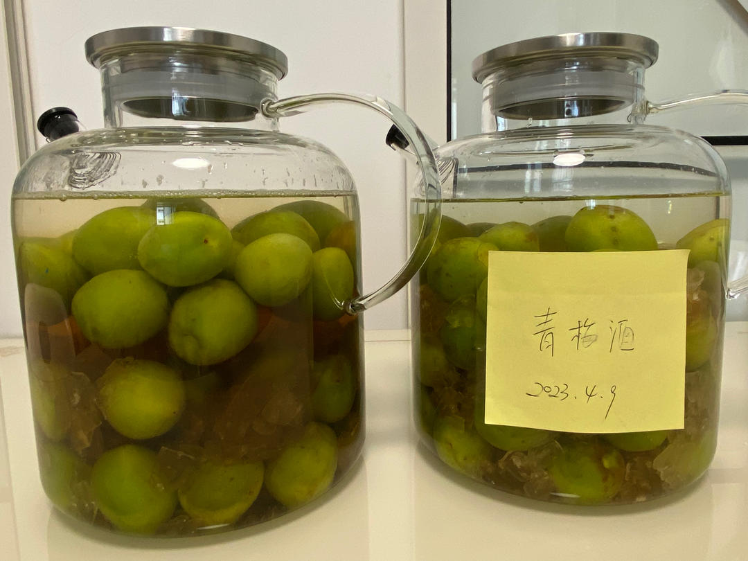 【青梅酒】梅子的沉醉时光（已填坑）