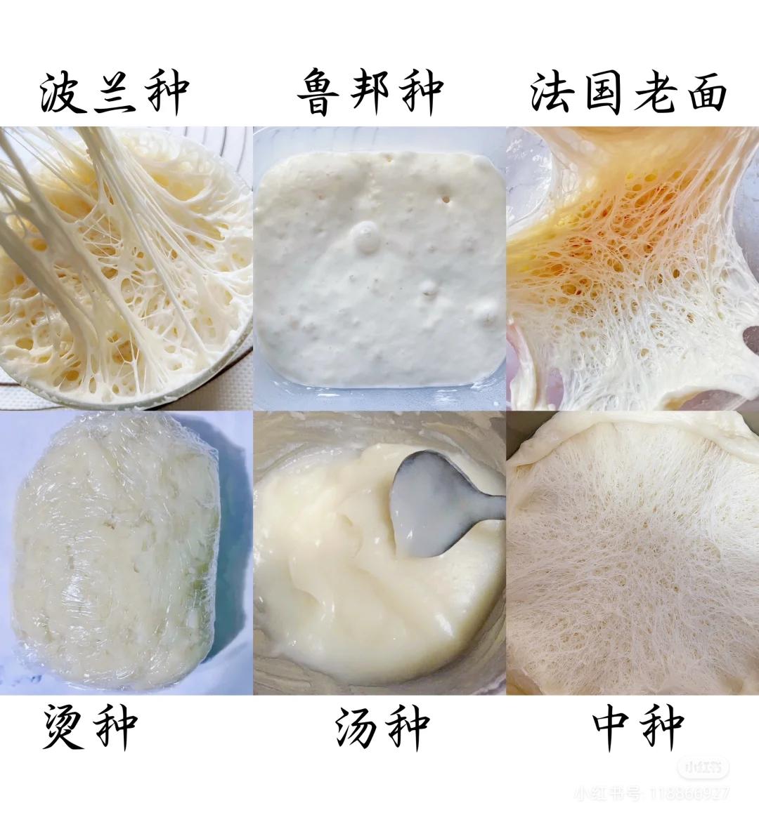 各大面种汇集