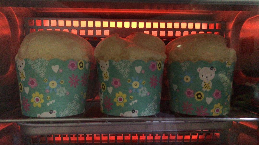 不回缩杯子蛋糕cupcake