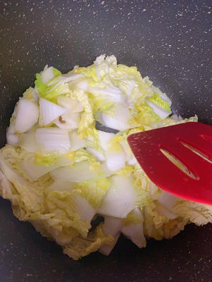 白菜炖粉条（无肉）的做法 步骤1