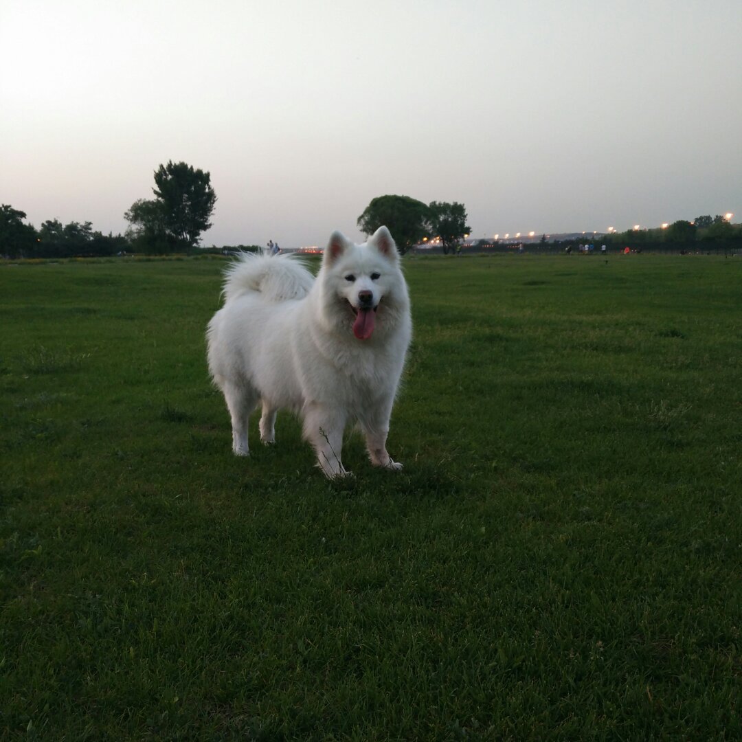 汗涝保收赛神仙