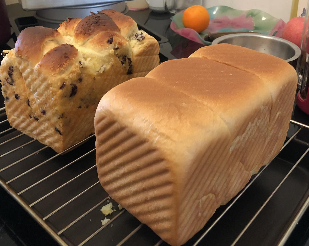 椰香浓郁🍞椰蓉吐司