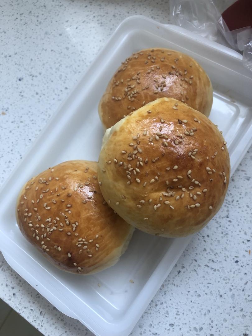 汉堡胚 poolish（波兰种）