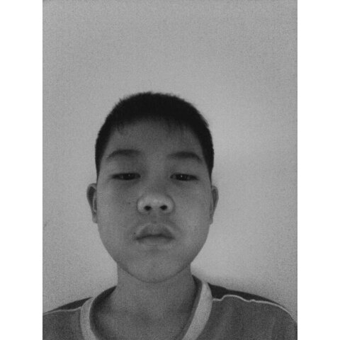 手机用户2964_rthp