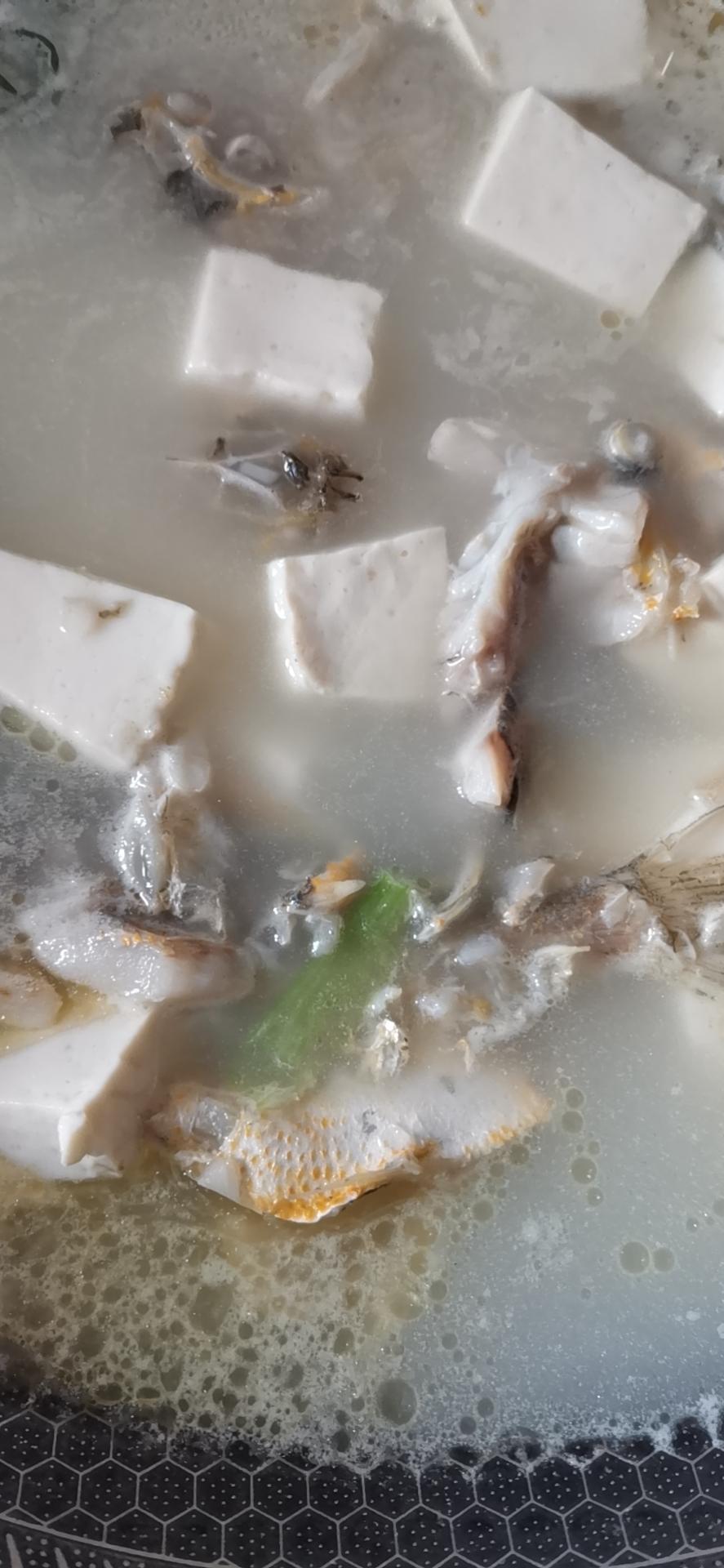 奶白鲫鱼豆腐汤|一条鱼最后的温柔