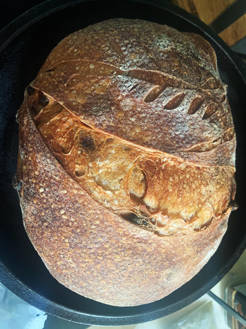 【Ken Forkish】Field blend #1轻黑麦天然酵种欧包