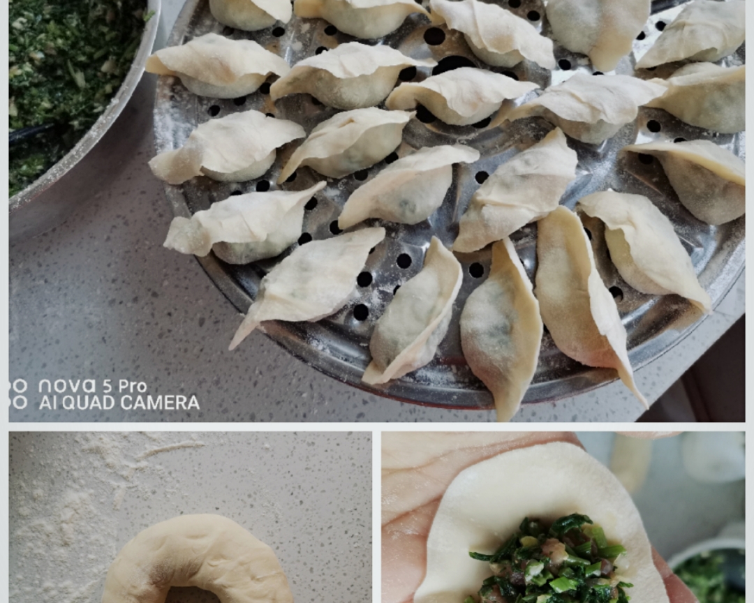 东北山野菜水饺的做法