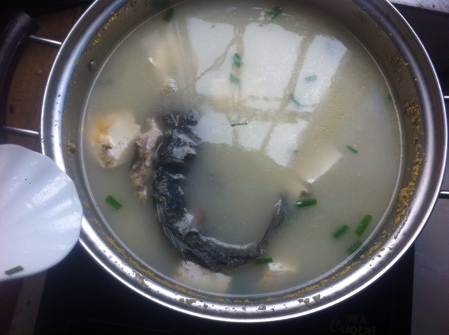 鲫鱼豆腐汤