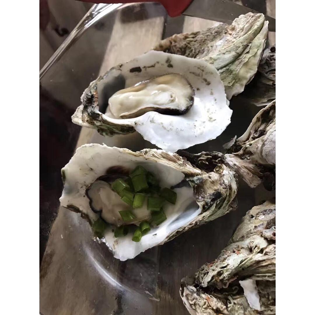 清蒸/清烤全壳生蚝