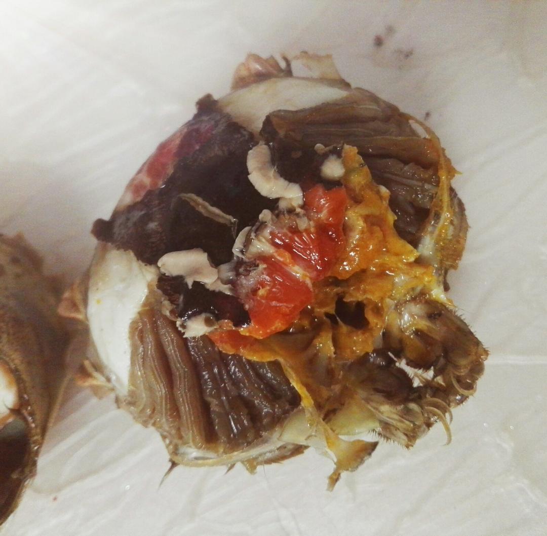 江南熟醉蟹