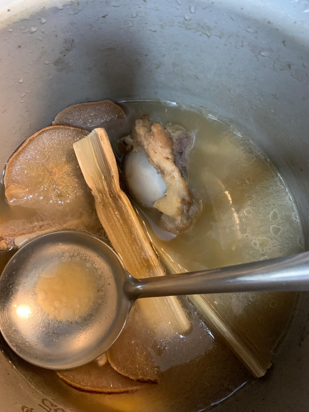 祛湿健脾五指毛桃汤