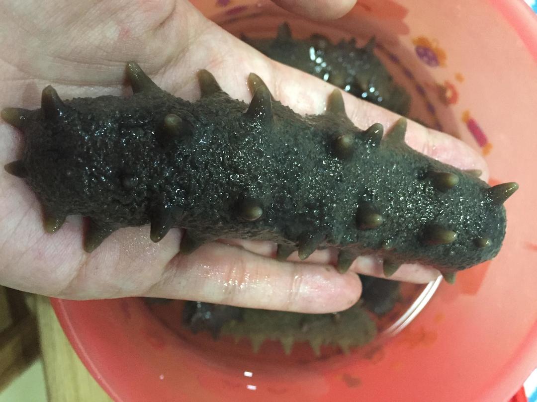 海参泡发方法（二）的做法