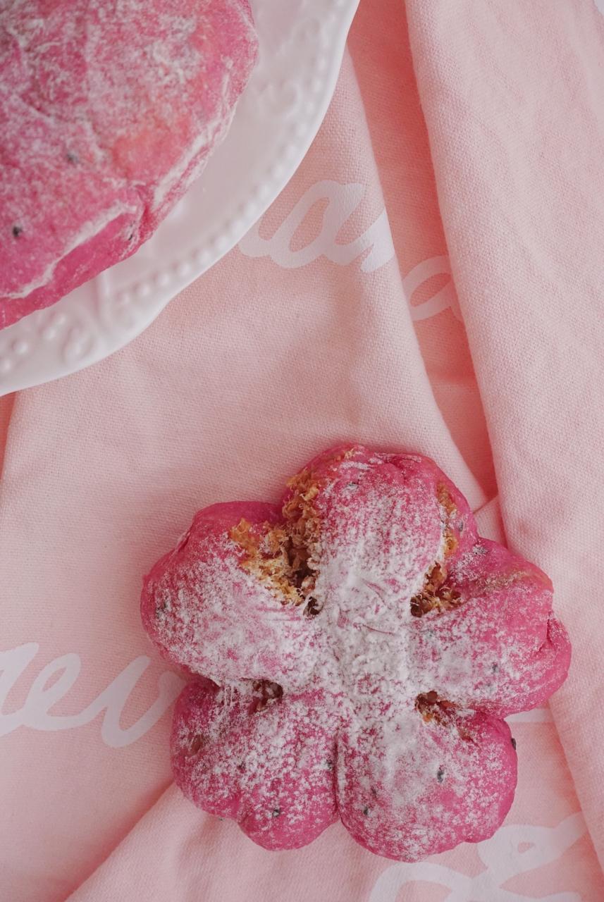 💕少女心biu biu biu 💕 肉松馅的火龙果面包