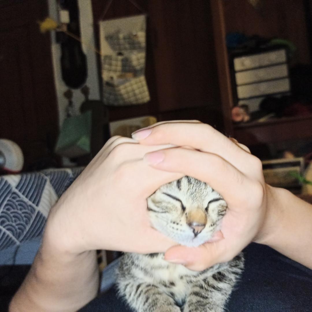 烤炉鸭仔
