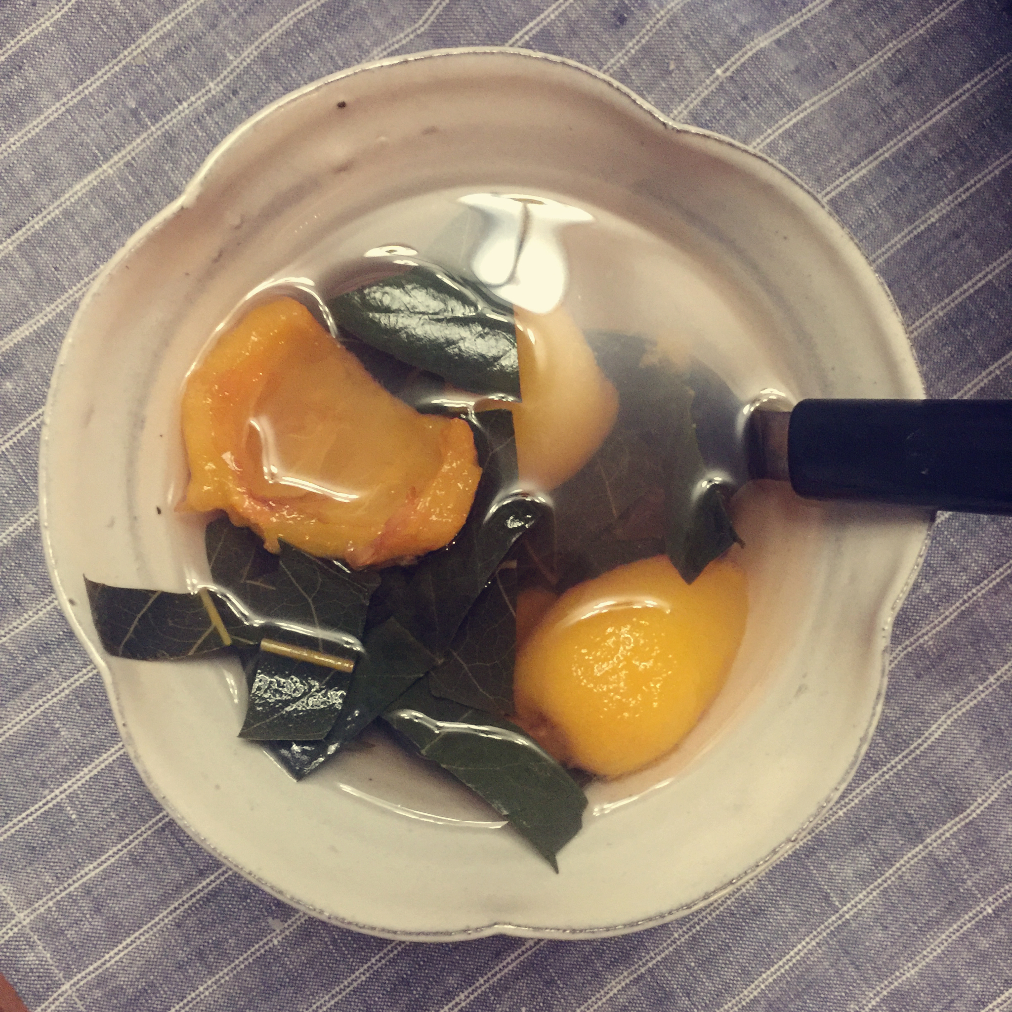 冰糖枇杷水